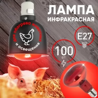 Картина продукта